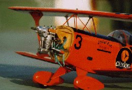 p2.jpg